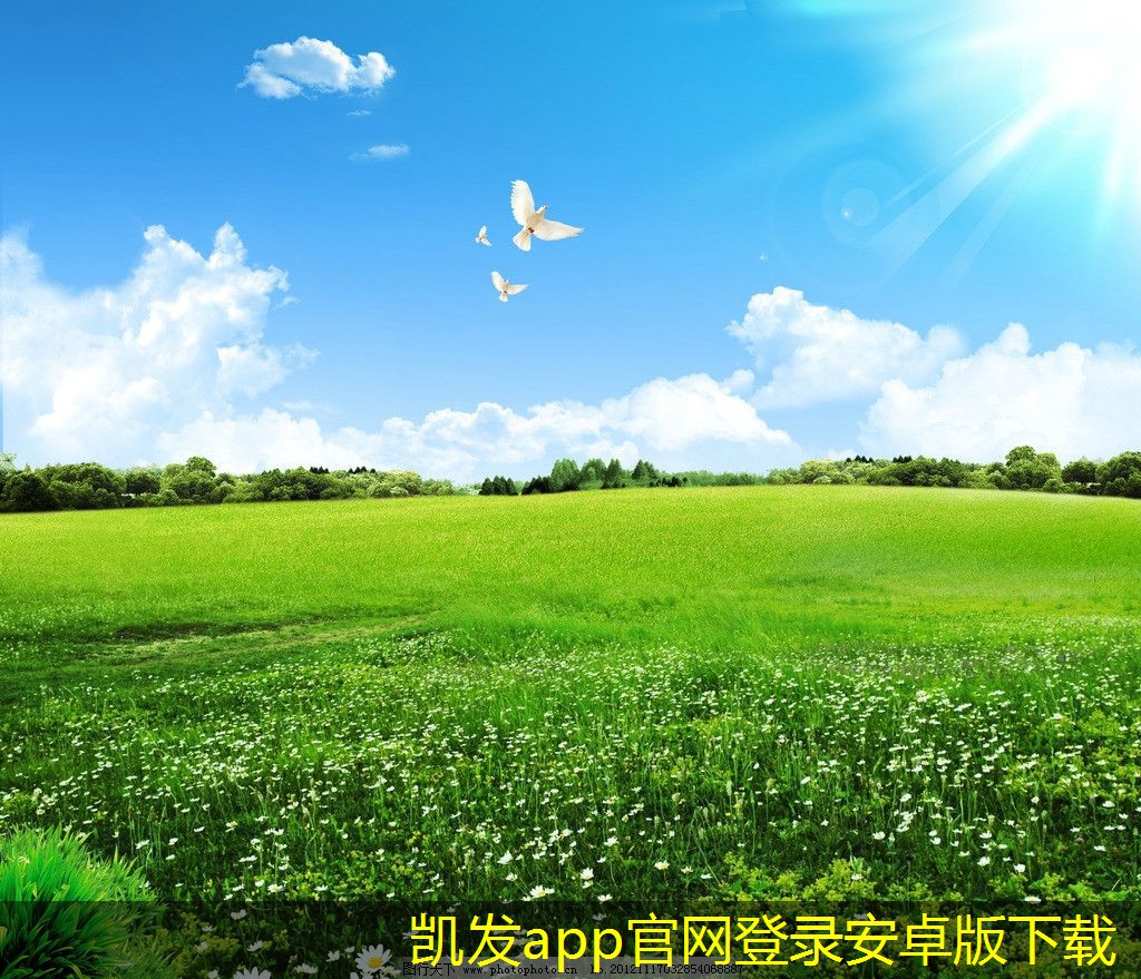停車(chē)道閘市場(chǎng)的競(jìng)爭(zhēng)分析