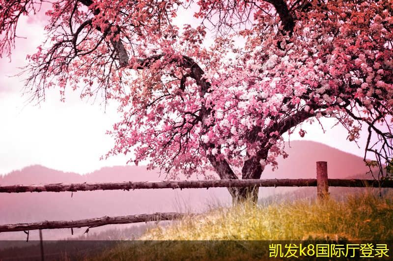 停車道閘的國(guó)際市場(chǎng)發(fā)展現(xiàn)狀