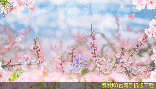 可視對講與家庭互聯(lián)網(wǎng)絡的結(jié)合