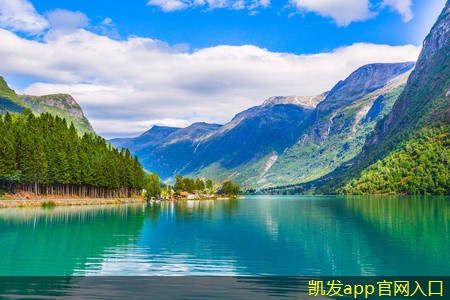集團(tuán)電話的多語(yǔ)言支持與應(yīng)用