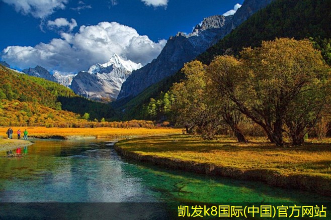 集團(tuán)電話軟件與硬件配置指南